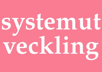 Synonym systemutveckling