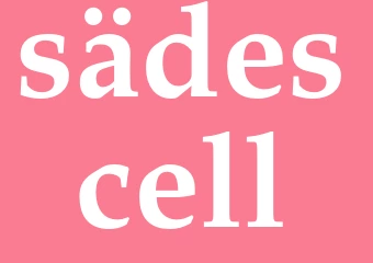Synonym sädescell