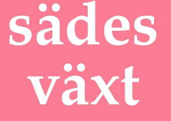 Synonym sädesväxt