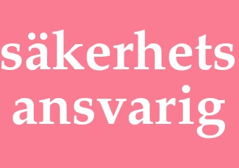 Synonym säkerhetsansvarig