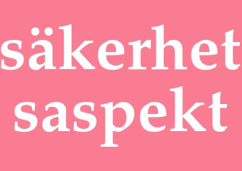 Synonym säkerhetsaspekt