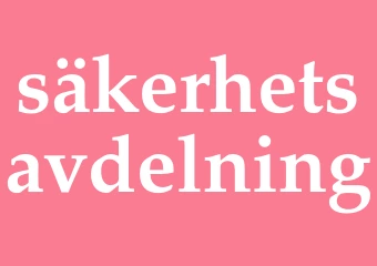 Synonym säkerhetsavdelning