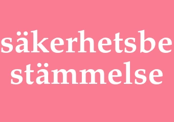 Synonym säkerhetsbestämmelse