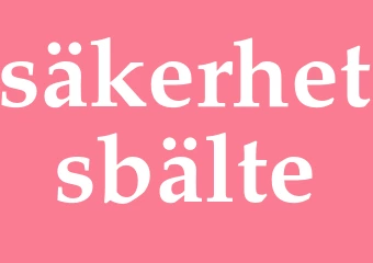 Synonym säkerhetsbälte
