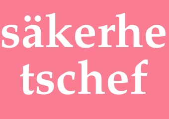 Synonym säkerhetschef