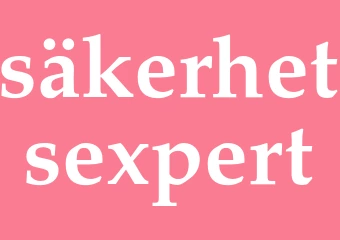 Synonym säkerhetsexpert