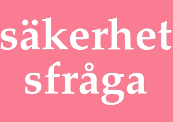Synonym säkerhetsfråga