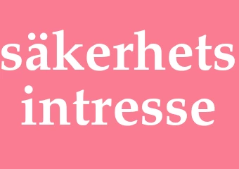 Synonym säkerhetsintresse