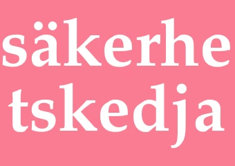 Synonym säkerhetskedja