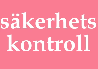 Synonym säkerhetskontroll