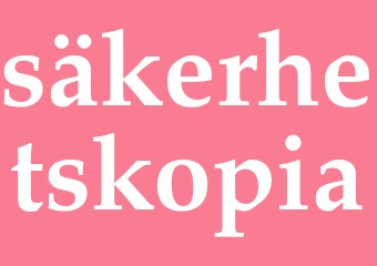 Synonym säkerhetskopia