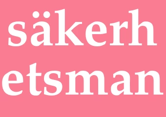 Synonym säkerhetsman