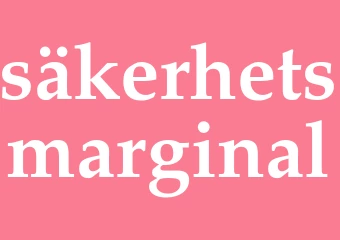 Synonym säkerhetsmarginal