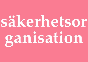 Synonym säkerhetsorganisation
