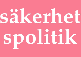 Synonym säkerhetspolitik