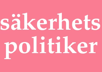 Synonym säkerhetspolitiker