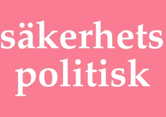Synonym säkerhetspolitisk