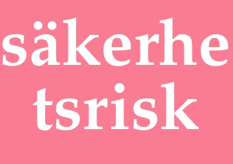 Synonym säkerhetsrisk