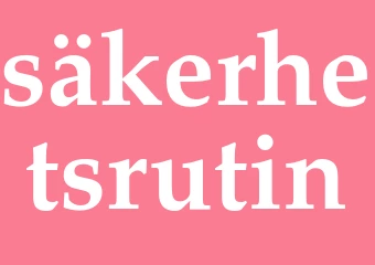 Synonym säkerhetsrutin