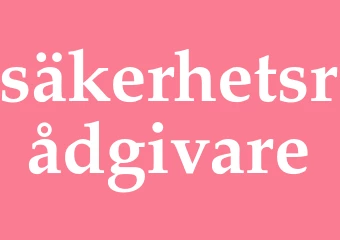 Synonym säkerhetsrådgivare