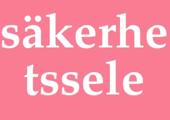Synonym säkerhetssele