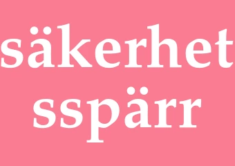 Synonym säkerhetsspärr