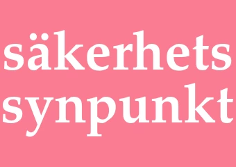Synonym säkerhetssynpunkt