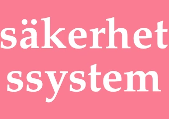Synonym säkerhetssystem