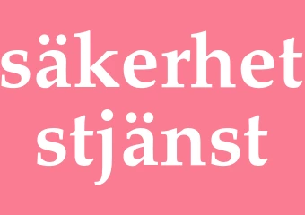 Synonym säkerhetstjänst