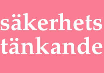 Synonym säkerhetstänkande