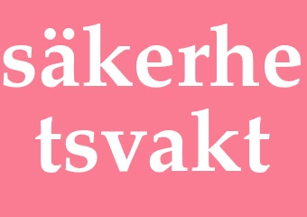 Synonym säkerhetsvakt