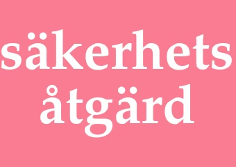 Synonym säkerhetsåtgärd