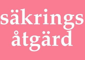 Synonym säkringsåtgärd