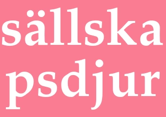 Synonym sällskapsdjur