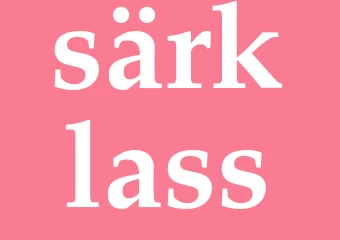 Synonym särklass