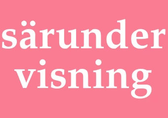 Synonym särundervisning