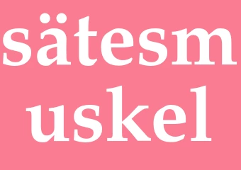Synonym sätesmuskel