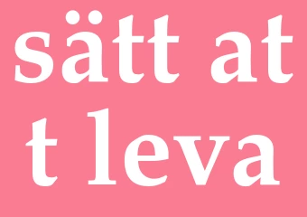 Synonym sätt att leva