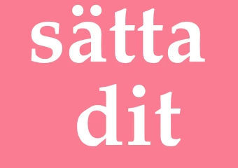 Synonym sätta dit