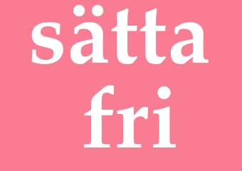 Synonym sätta fri