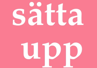 Synonym sätta upp