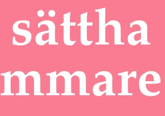 Synonym sätthammare