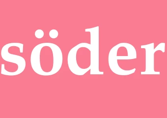 Synonym söder