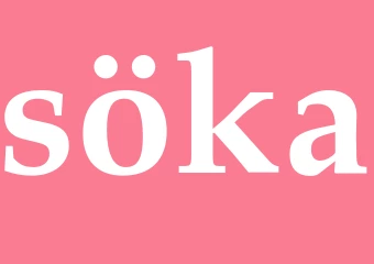 Synonym söka