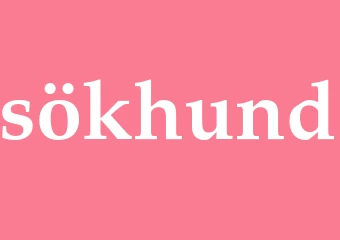 Synonym sökhund