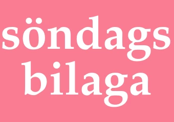 Synonym söndagsbilaga