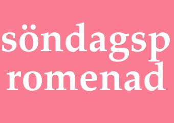 Synonym söndagspromenad