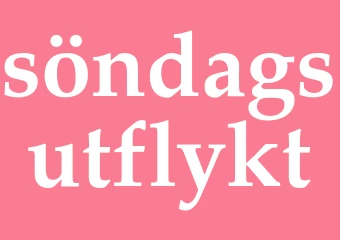 Synonym söndagsutflykt