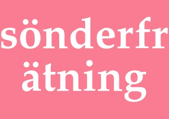 Synonym sönderfrätning