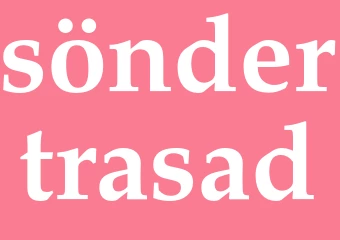 Synonym söndertrasad